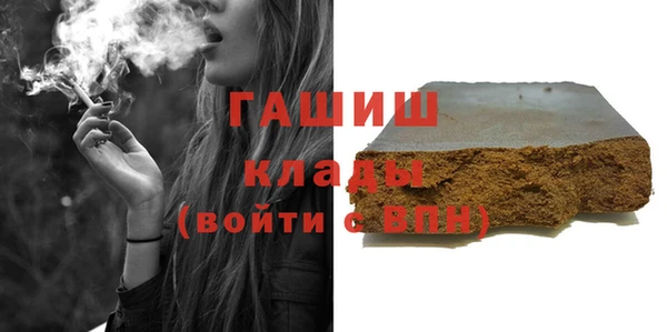 молекула духа Новозыбков