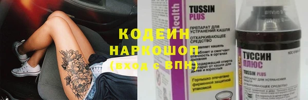 гидра Нея