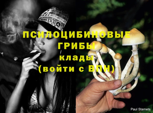 ALPHA PVP Нефтегорск
