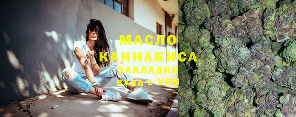молекула духа Новозыбков
