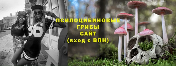 гидра Нея