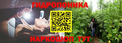 spice Абинск