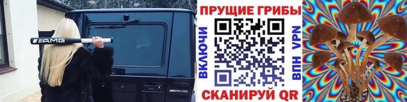 Галлюциногенные грибы Psilocybine cubensis  хочу   Саров 