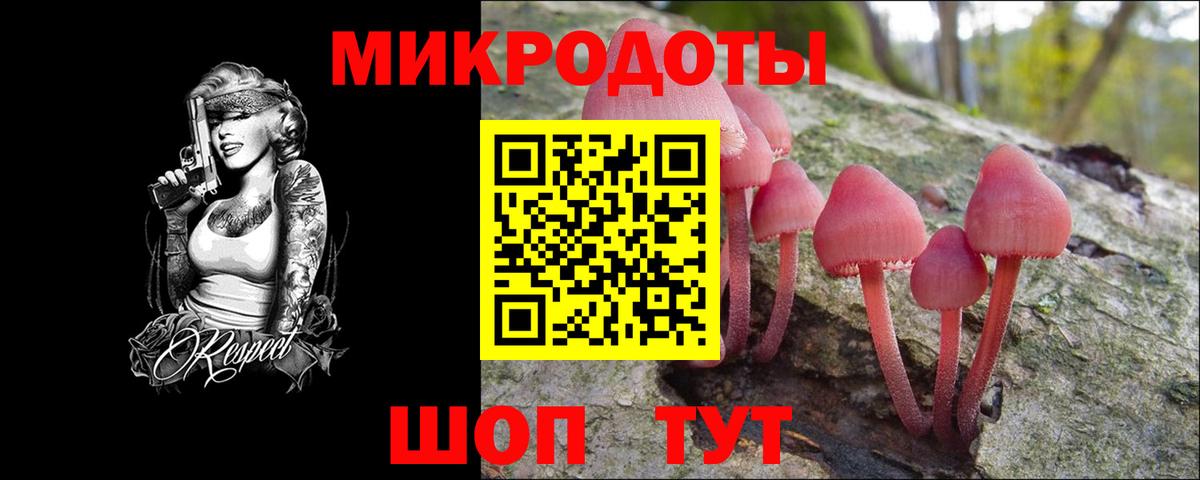Галлюциногенные грибы MAGIC MUSHROOMS  Псилоцибиновые грибы прущие грибы  Вход с VPN  Саров 