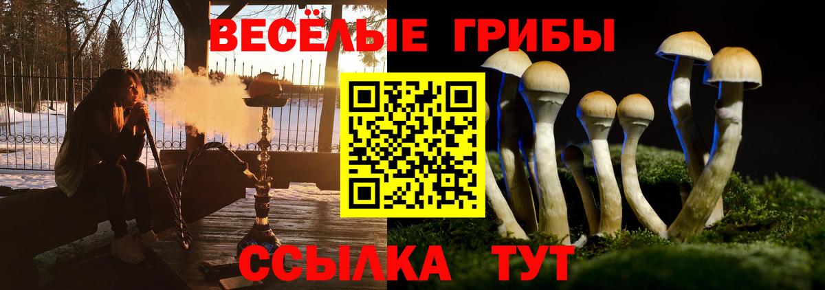 Псилоцибиновые грибы Psilocybine cubensis Саров