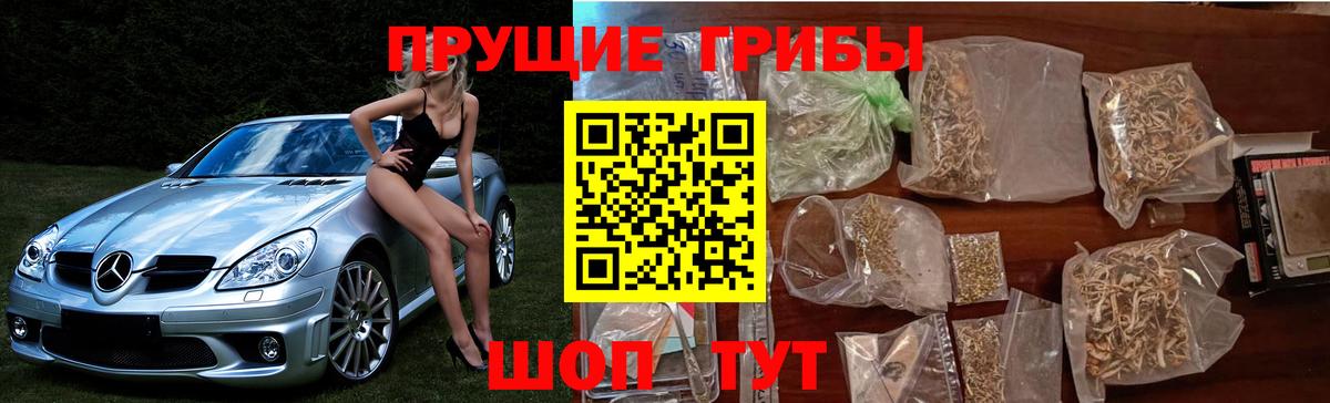 Галлюциногенные грибы прущие грибы Саров
